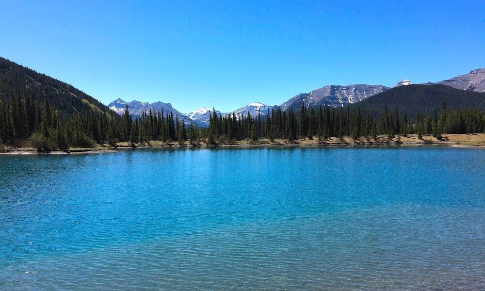 Oakridge Denture Centre Ltd